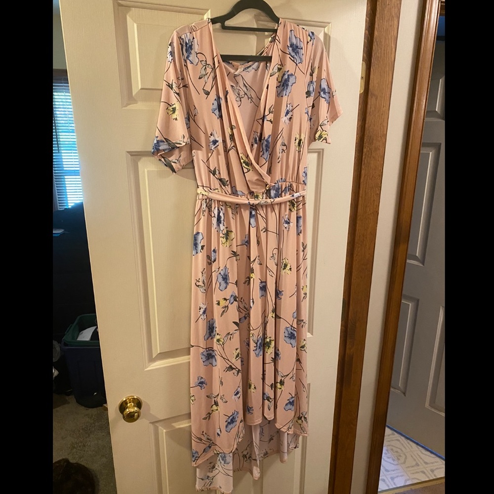 Pinkblush Dress